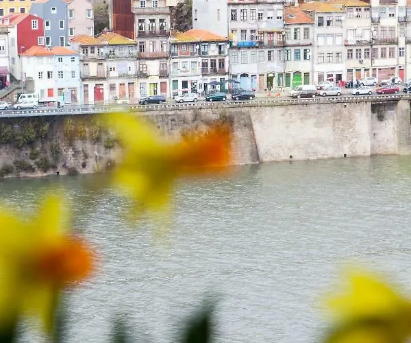 Daire Bestvillas Casa Do Rio *